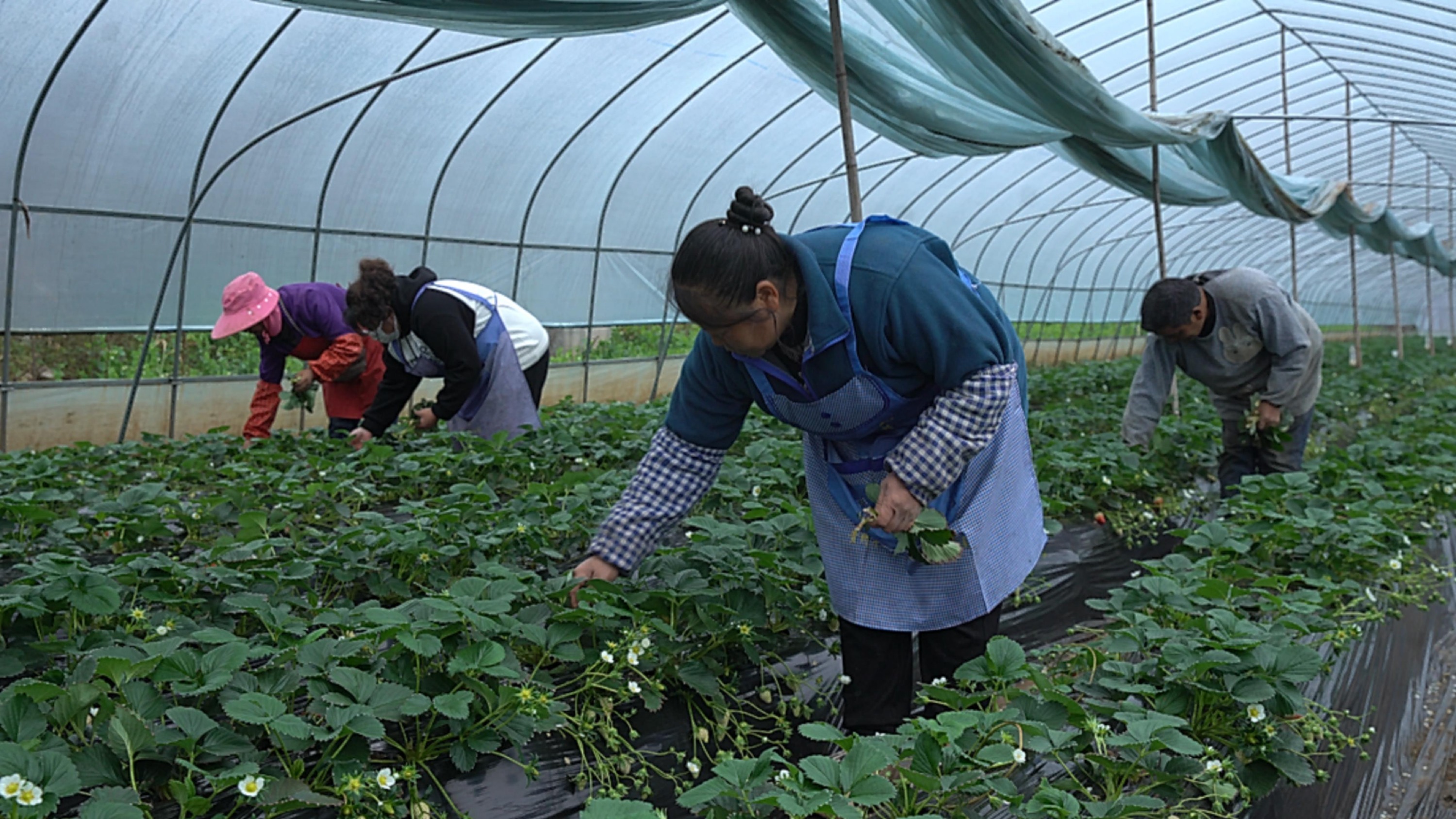 美丽家园·美丽庭院|2022模范乡村示范点——六盘水市海螺村,交通铺就小康路