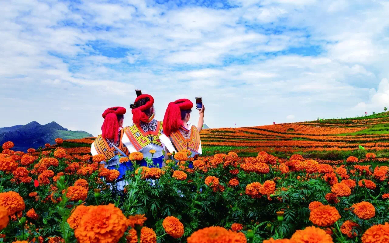 美丽家园·美丽庭院|2022模范乡村示范点——六盘水市海螺村,交通铺就小康路