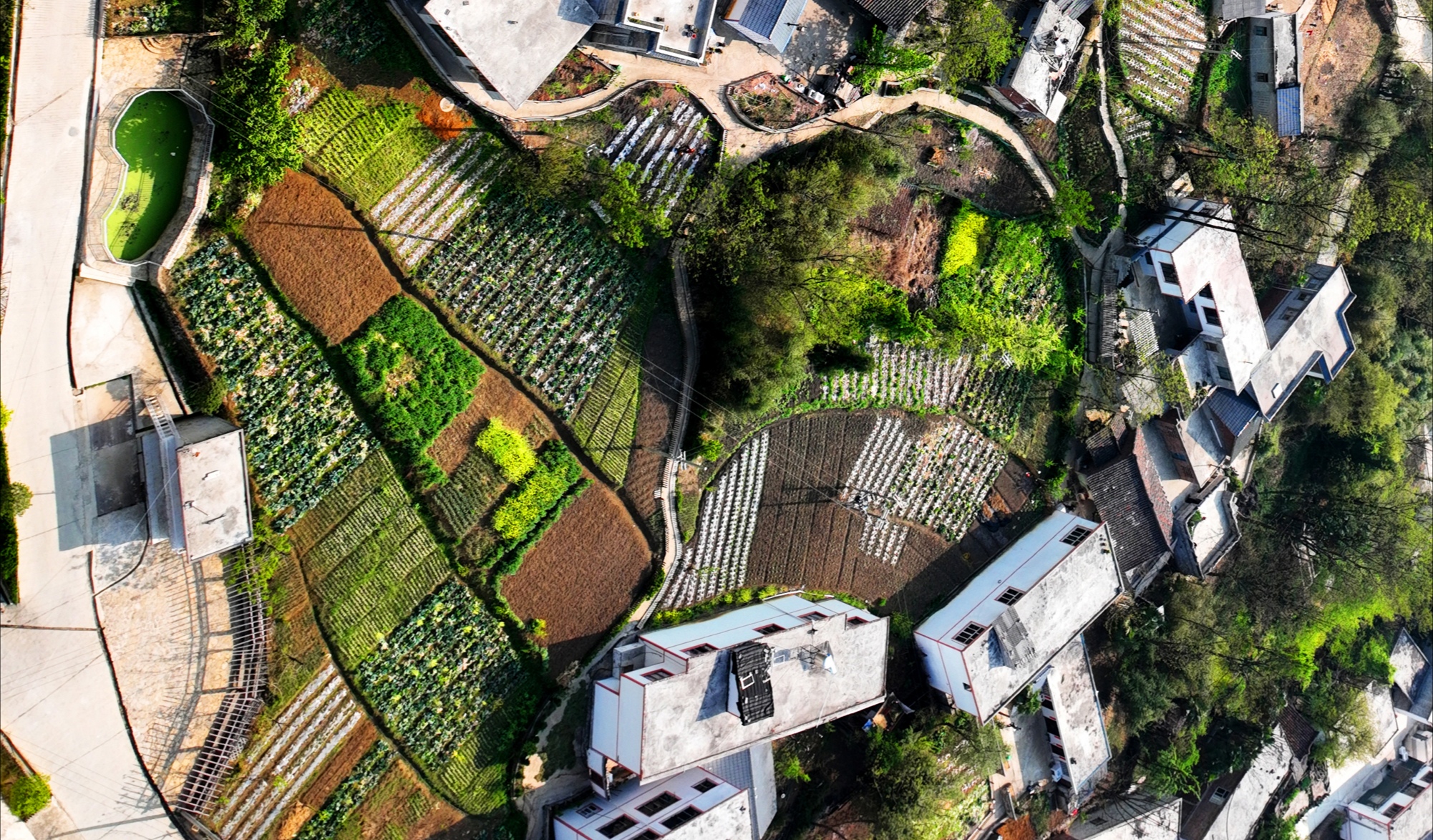 美丽家园·美丽庭院|2022模范乡村示范点——六盘水市海螺村,交通铺就小康路