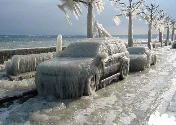 海冰：海洋世界的超级杀手