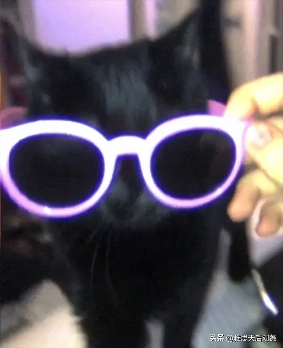 破防了！学了十几年Dear Li Hua，现在被告知写邮件用Dear不对？