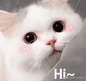 破防了！学了十几年Dear Li Hua，现在被告知写邮件用Dear不对？