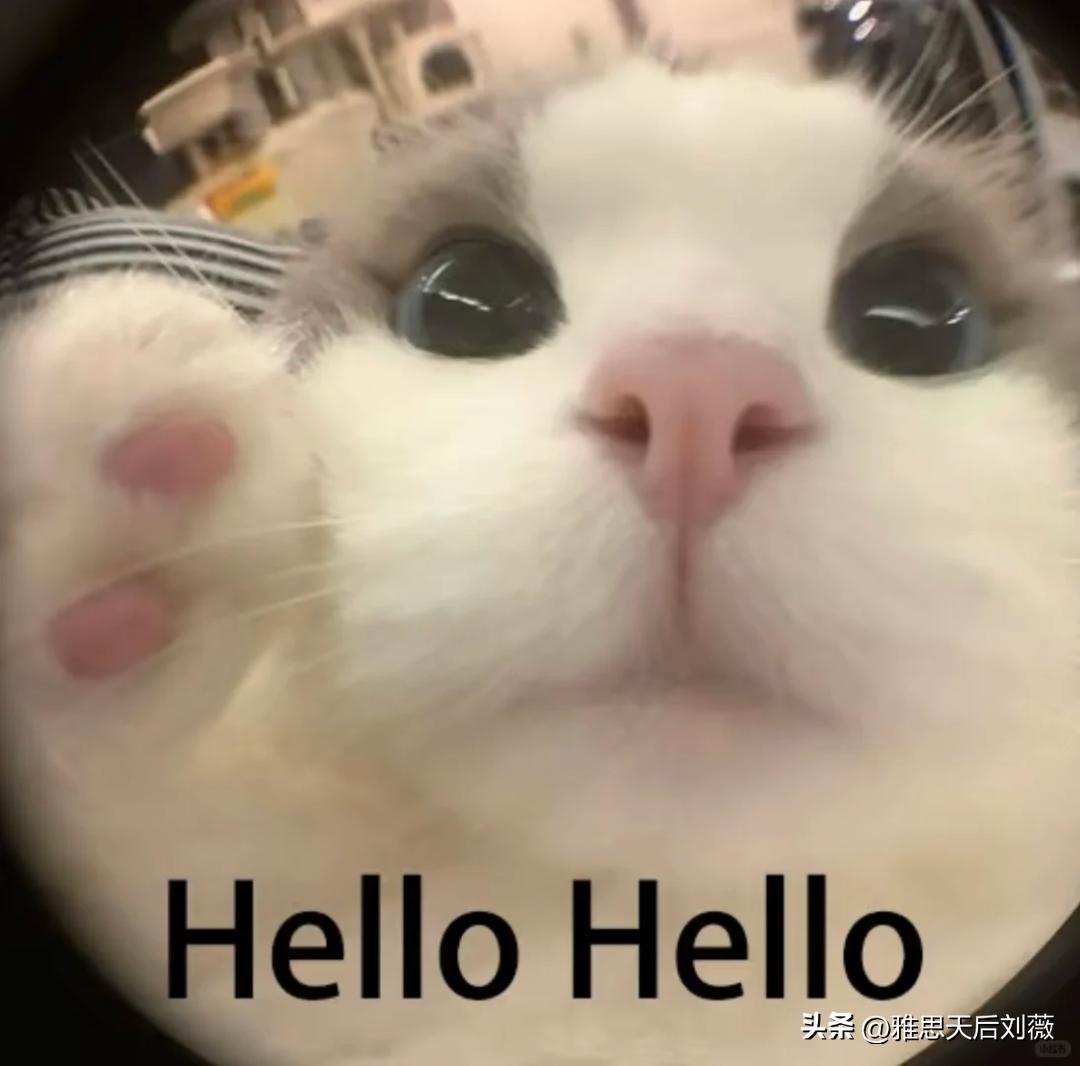 破防了！学了十几年Dear Li Hua，现在被告知写邮件用Dear不对？