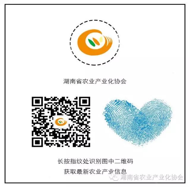 三方面打造农业全产业链 助力乡村产业发展
