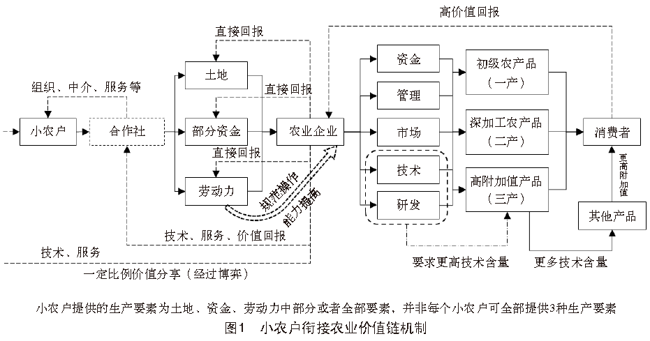 深度解析||小农户与现代农业的衔接桥梁——农业价值链的构建