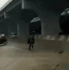 车主撞死故意碰瓷者，会有什么后果？终于有了答案！