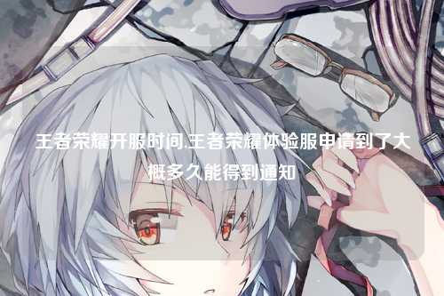 王者荣耀开服时间,王者荣耀体验服申请到了大概多久能得到通知
