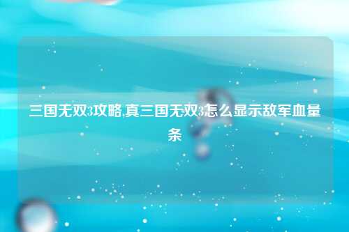 三国无双3攻略,真三国无双3怎么显示敌军血量条