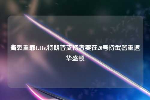 撕裂重罪1.11c,特朗普支持者要在20号持武器重返华盛顿