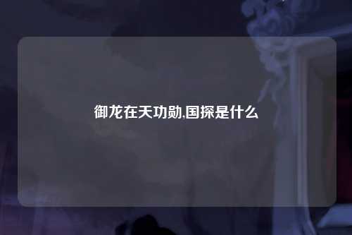 御龙在天功勋,国探是什么