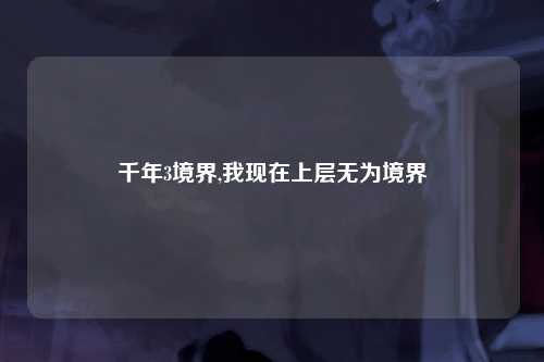 千年3境界,我现在上层无为境界