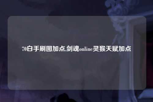 70白手刷图加点,剑魂online灵猴天赋加点