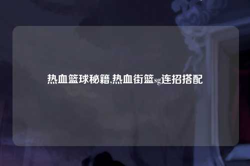 热血篮球秘籍,热血街篮sg连招搭配