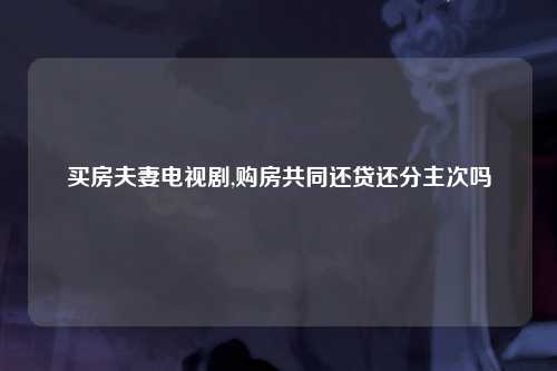 买房夫妻电视剧,购房共同还贷还分主次吗