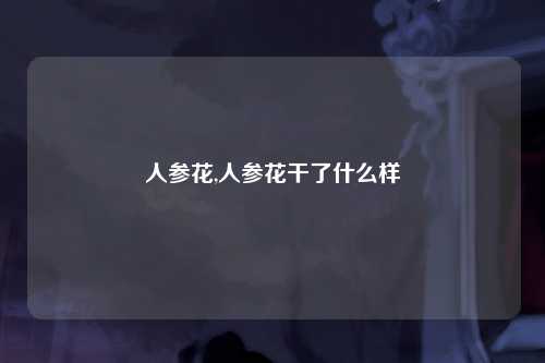 人参花,人参花干了什么样