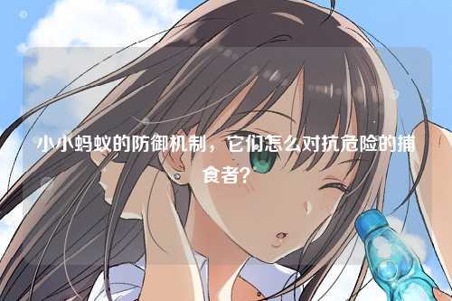 小小蚂蚁的防御机制，它们怎么对抗危险的捕食者？