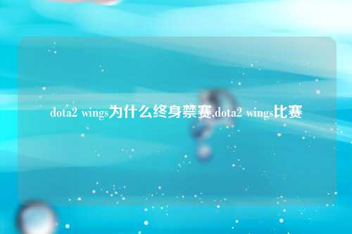 dota2 wings为什么终身禁赛,dota2 wings比赛