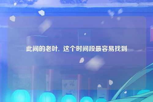此间的老叶,  这个时间段最容易找到