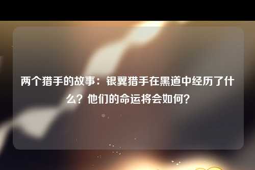 两个猎手的故事：银翼猎手在黑道中经历了什么？他们的命运将会如何？