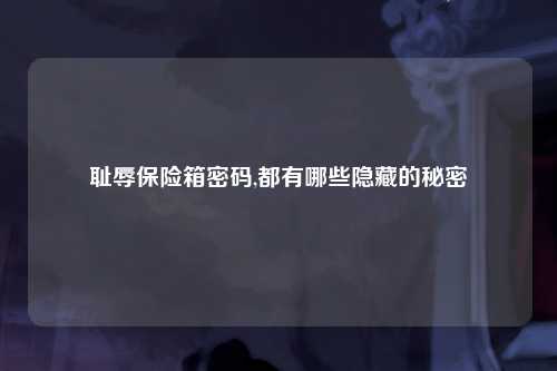 耻辱保险箱密码,都有哪些隐藏的秘密