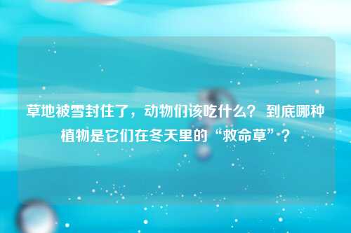 草地被雪封住了，动物们该吃什么？ 到底哪种植物是它们在冬天里的“救命草”？