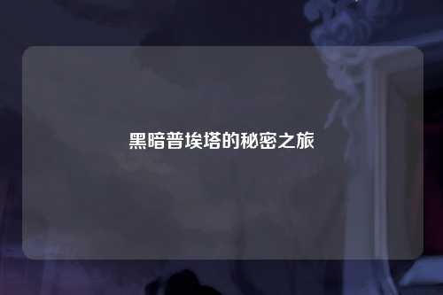 黑暗普埃塔的秘密之旅