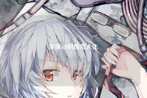 东家AB的传奇人生